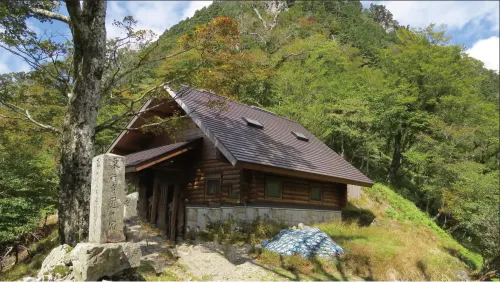 Forest Kamikita