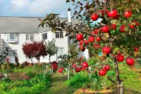 Western Style Western Style St 旭川機場附近的飯店