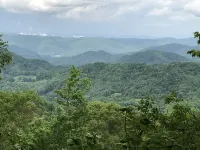 Peaceful Cottage on Linville River. Hike Blue Ridge mountains. Visit winery.