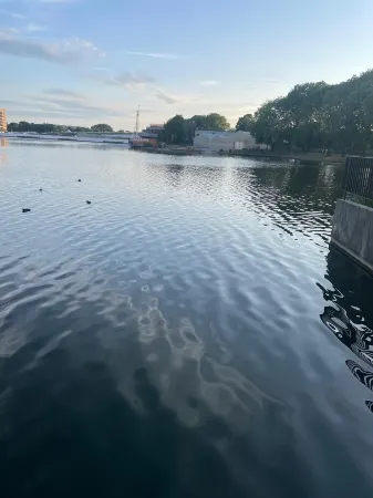 Nice cozy house with WiFi close to the Elizabeth line Отели рядом с достопримечательностью «Барьер Темзы»