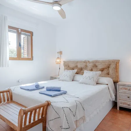 Cofitsa Plus
