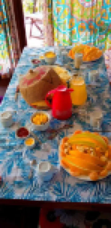 Casa Ecológica Paraty