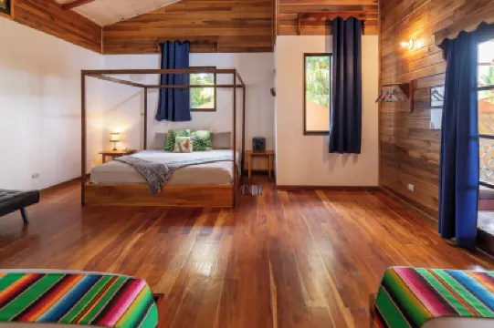 Pangea Lodge Hotels in 