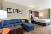 Comfort Inn & Suites Near Six Flags & Medical Center