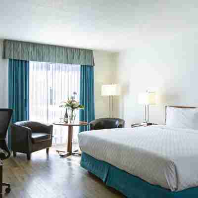 Hotel L'Oiseliere Montmagny Rooms