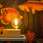 設計公寓 - "阿姆魏恩貝格"