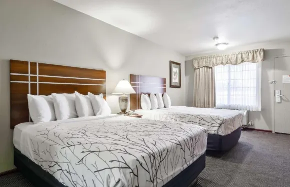 聖地亞哥牧場旅館及套房