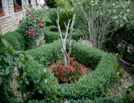 Apartments & Rooms Green Bay