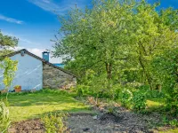 Peaceful Family Cottage Hotels in Vielsalm