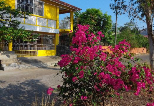 옐로우 하우스 룸 오어 하우스 렌탈