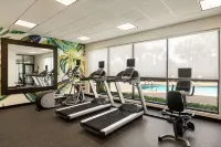 Hilton Garden Inn Palm Coast Town Center Hotels in Palm Coast