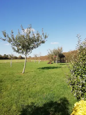 Large, cosy Self Catering Cottage Set In Beautiful Countryside. Pet friendly