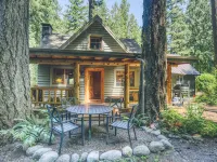 Charming Vintage Cabin with Forest Views - Cozy Retreat Hotels in Mt Hood Village