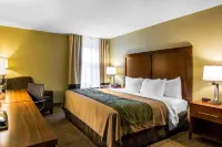 Comfort Inn Newport News-Williamsburg East Hoteles en Newport News