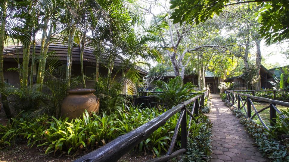 Emdoneni Lodge with Zululand Cat Conservation Project