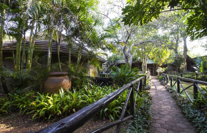 Emdoneni Lodge with Zululand Cat Conservation Project