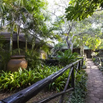 Emdoneni Lodge with Zululand Cat Conservation Project
