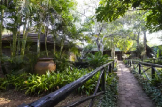 Emdoneni Lodge with Zululand Cat Conservation Project