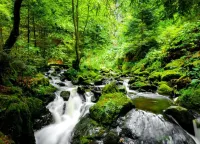 位於韋尼格羅德附近河邊的可愛度假屋