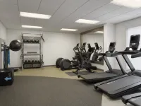 Hilton Garden Inn Indianapolis Northeast/Fishers - Gym