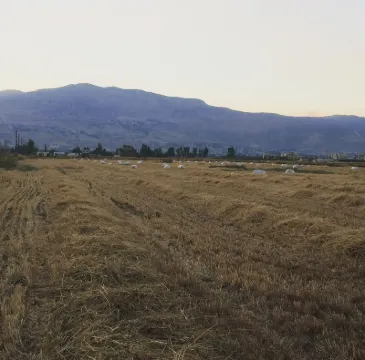 Karim's Sahel Hotels in 