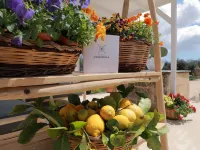 Tenuta Cesarina Hotels in Alessano