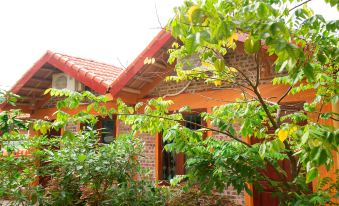 Tam Coc Riverside Homestay