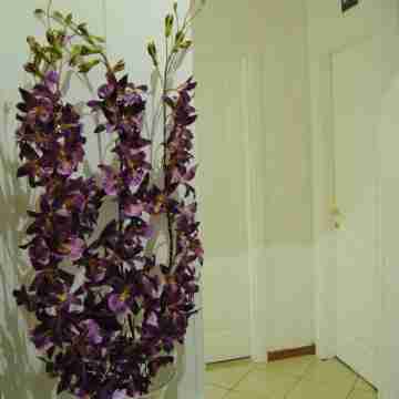 Adelaide House Others