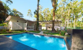 Olivia del Caribe Suite
