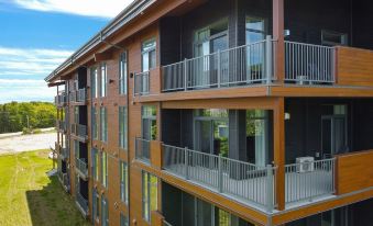 Les Caches de la Grande Pointe