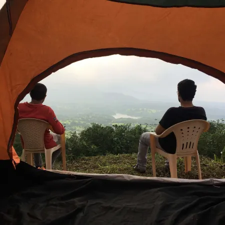 Canary Forest Camping