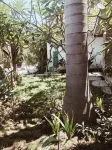 Kalua Boutique Bungalows