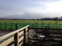 Bluebell Lodge and Cottage Hotels in Hastings