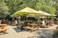 Healesville Hotel Hotels in Healesville