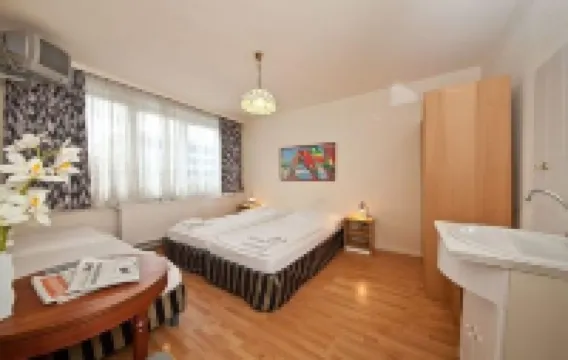 漢堡維基格霍夫中心酒店