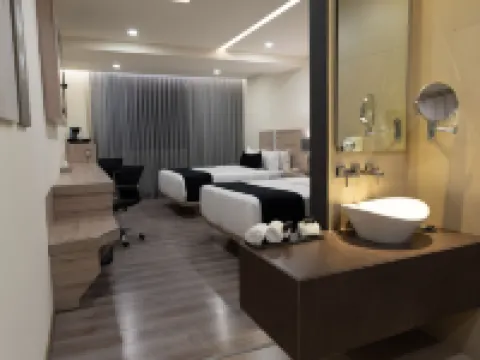 ドムン ホテル ケレタロのホテル