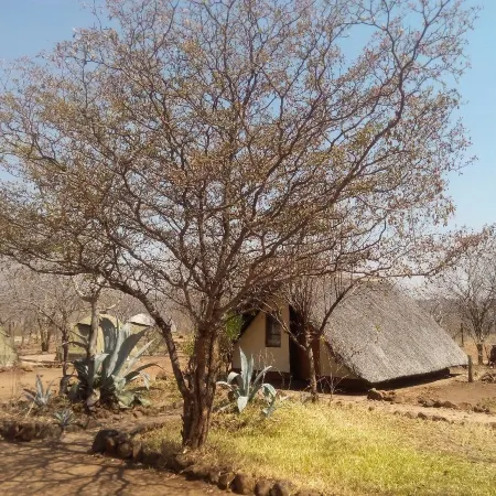 Liya Lodge and Campsite Hotels in Kasane