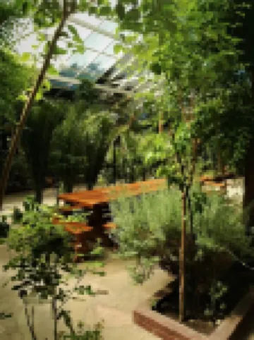 Don Pepe Hotel y Cabañas فنادق في 