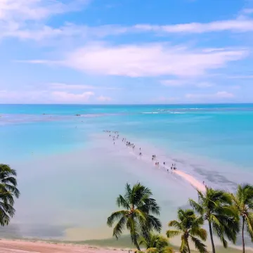 Verano Pajuçara by Tropicalis