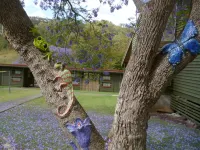 Christmas Creek Café & Cabins Hotels in Lamington