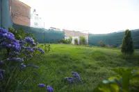 Hotel la Casona Del Olivo Arequipa