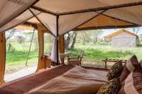 Gnu Ndutu Camp