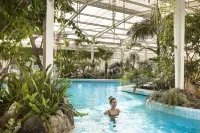 Hotel Continental Ischia - Yüzme Havuzu