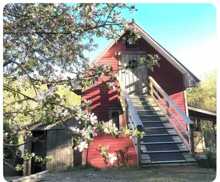 Genuine Farm experience! Barn loft on Organic Farm—pet pig and chickens below!
