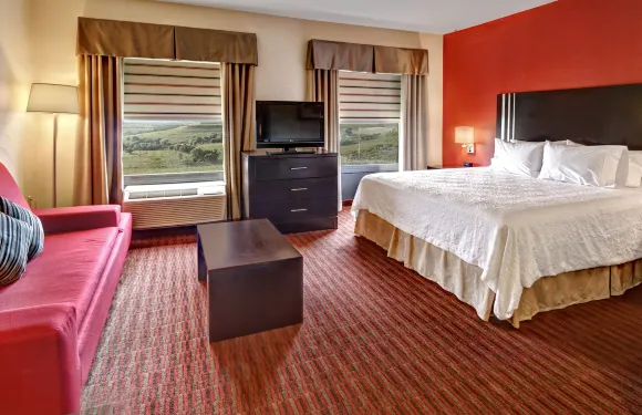 希爾頓歡朋套房酒店-萊巴嫩