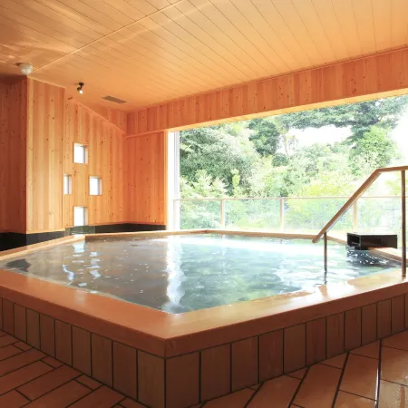 Hotel Wellseason Hamanako