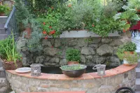 Locanda Zacco - Goraiolo