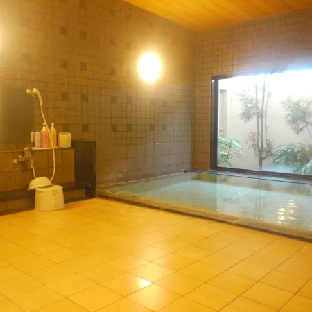 HOTEL ROUTE-INN TOYOKAWA INTER