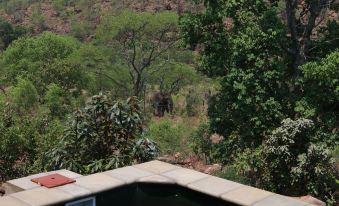 Inzalo Safari Lodge