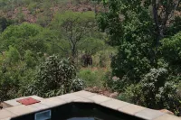 Inzalo Safari Lodge Hotels near Caesar'
